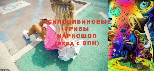 гашик Армянск