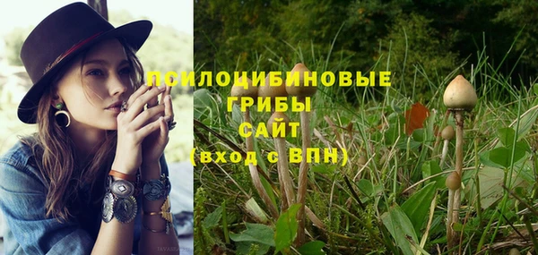 гашик Армянск
