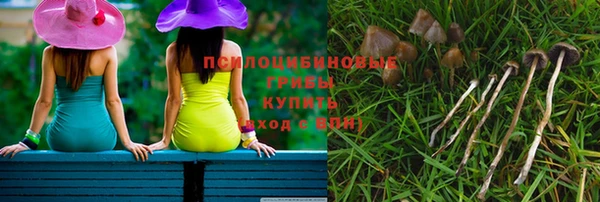 гашик Армянск