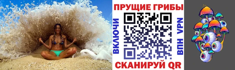 Галлюциногенные грибы Psilocybine cubensis  где найти   Удачный 